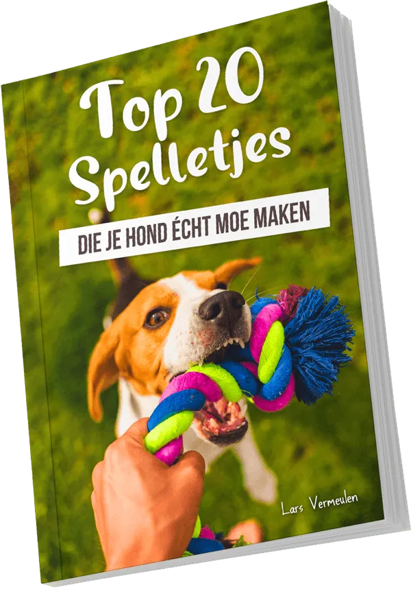 Bonus e-book: Top 20 Spelletjes