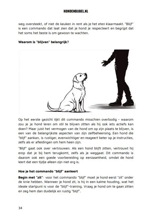 Fragment uit De Hondenbijbel — pagina 1